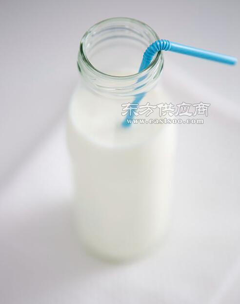 武漢綠洲海食品 匠心打造優質豆奶，傳遞健康與美味