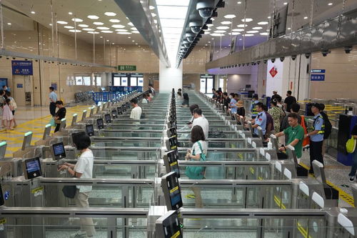 中國科技網 引領網絡技術服務創新，賦能數字中國建設